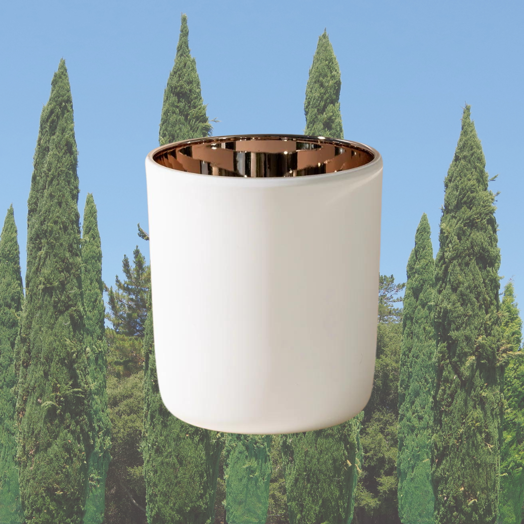 VERBENA CYPRESS
